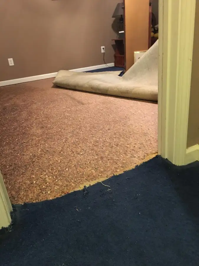 Carpet pad removal revealing water damage during Drying & Dehumidification in Portsmouth