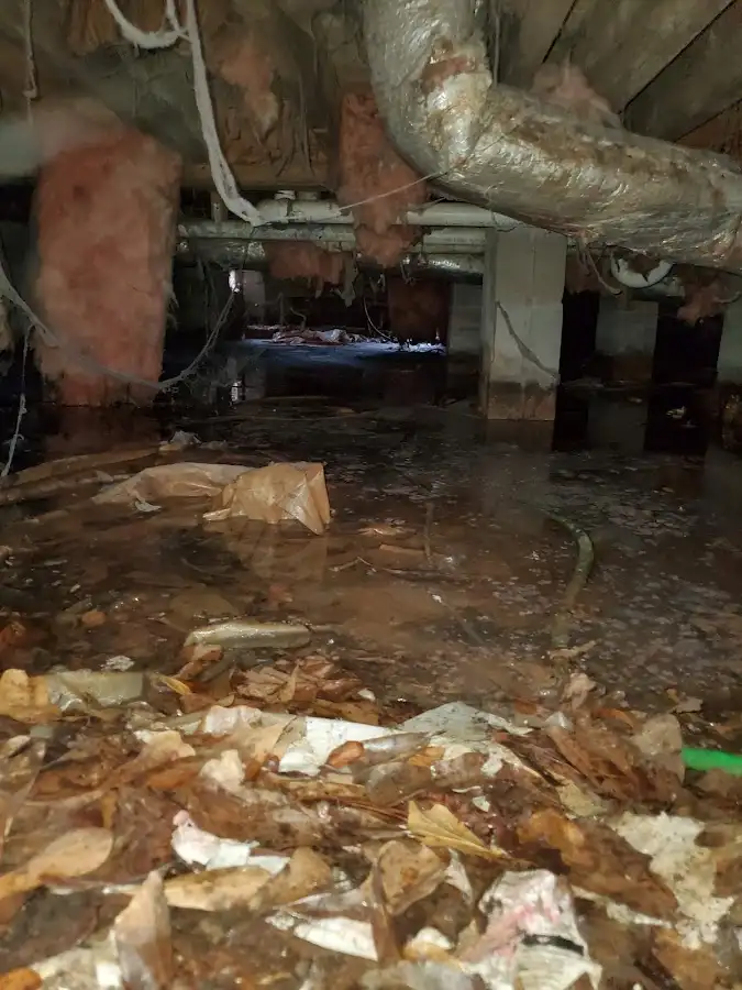 Crawl space flood assessment for Leak Detection & Repair in Portsmouth